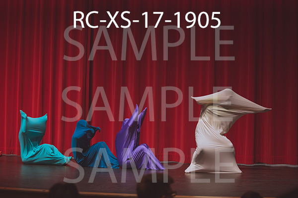 RC-XS-17-1905.jpg