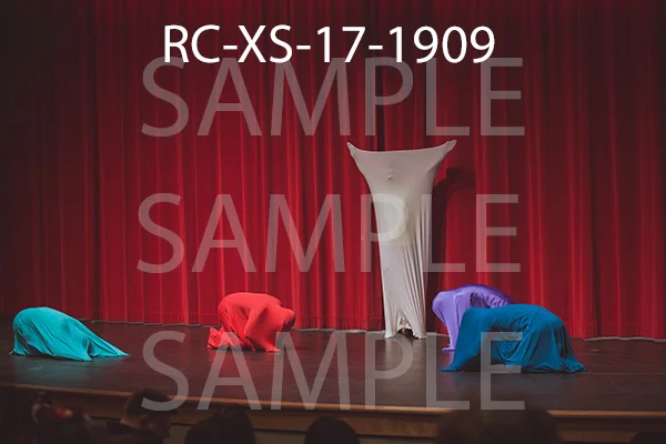RC-XS-17-1909.jpg