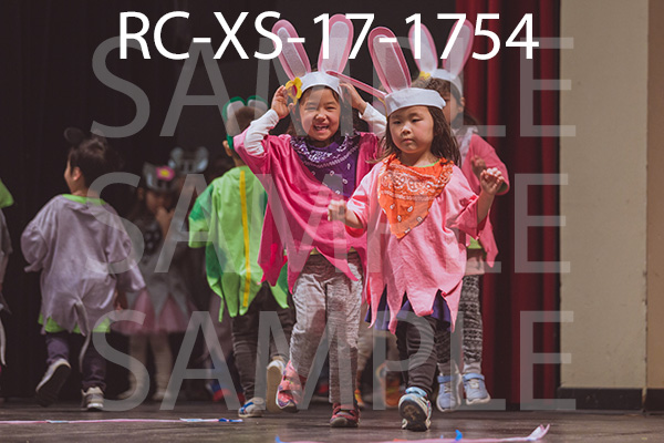 RC-XS-17-1754.jpg