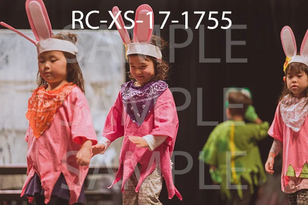 RC-XS-17-1755.jpg