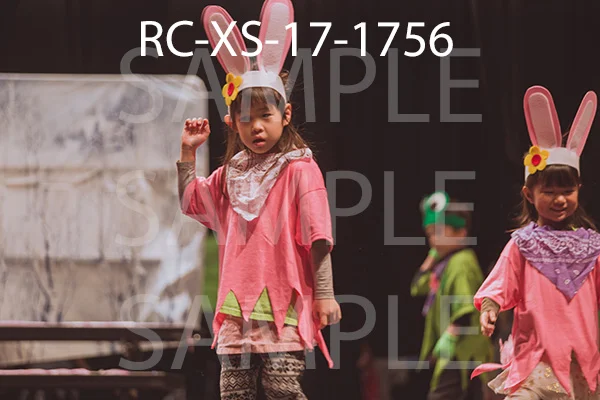 RC-XS-17-1756.jpg