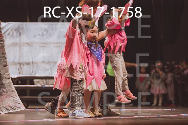 RC-XS-17-1758.jpg