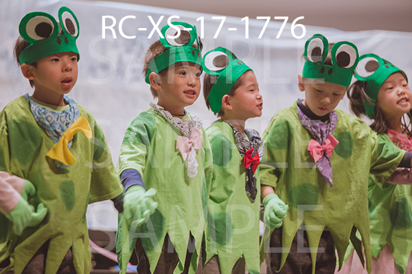 RC-XS-17-1776.jpg
