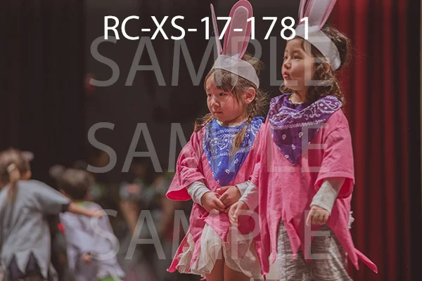 RC-XS-17-1781.jpg