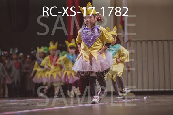 RC-XS-17-1782.jpg