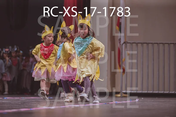 RC-XS-17-1783.jpg