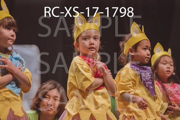 RC-XS-17-1798.jpg