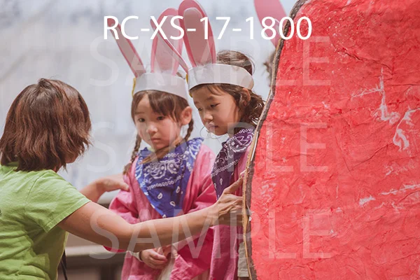 RC-XS-17-1800.jpg