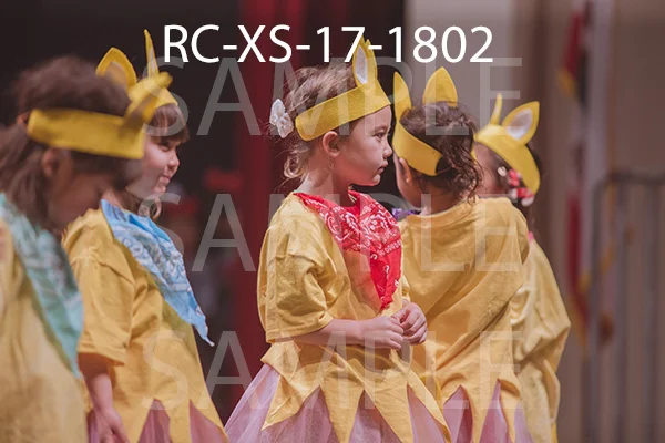 RC-XS-17-1802.jpg