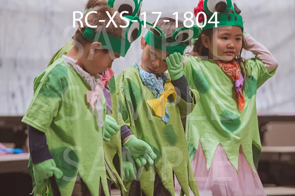 RC-XS-17-1804.jpg