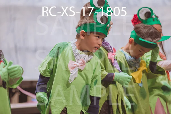 RC-XS-17-1805.jpg