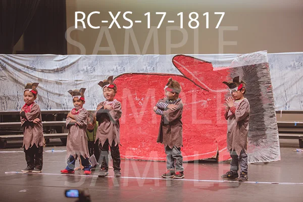 RC-XS-17-1817.jpg