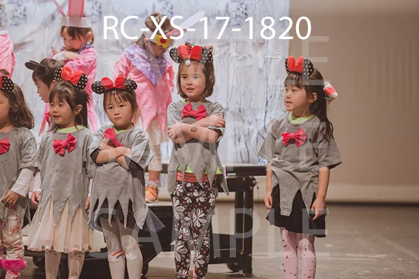 RC-XS-17-1820.jpg