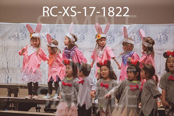RC-XS-17-1822.jpg