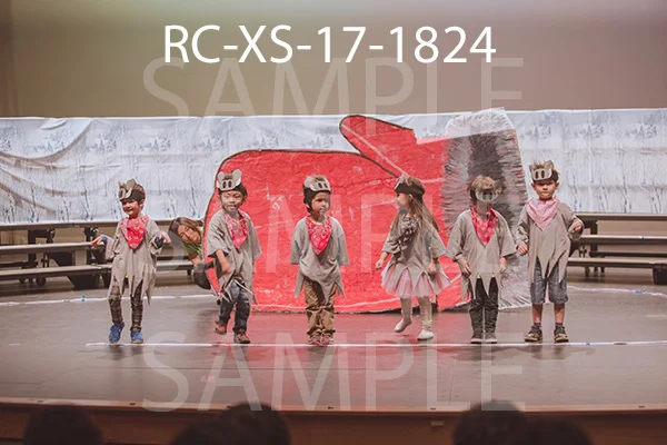 RC-XS-17-1824.jpg