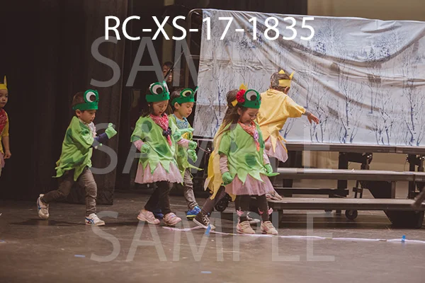 RC-XS-17-1835.jpg