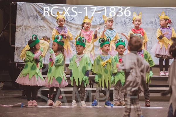 RC-XS-17-1836.jpg