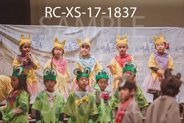 RC-XS-17-1837.jpg