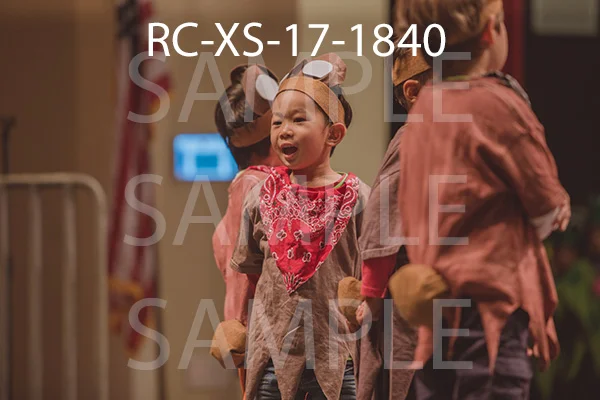 RC-XS-17-1840.jpg