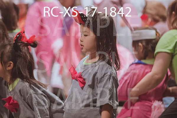 RC-XS-17-1842.jpg