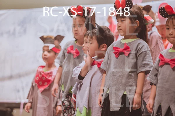 RC-XS-17-1848.jpg