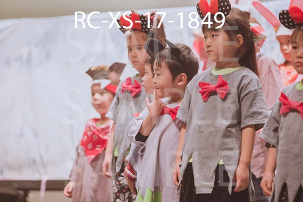 RC-XS-17-1849.jpg