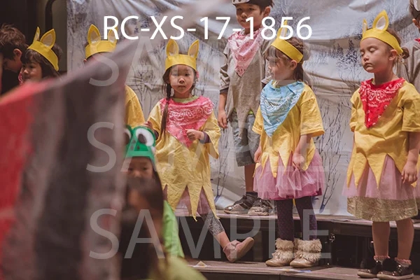 RC-XS-17-1856.jpg