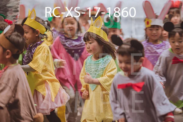 RC-XS-17-1860.jpg