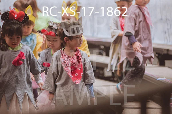 RC-XS-17-1862.jpg