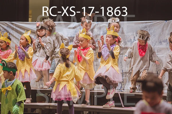 RC-XS-17-1863.jpg