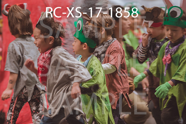 RC-XS-17-1858.jpg