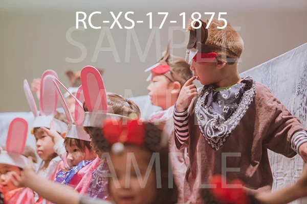 RC-XS-17-1875.jpg