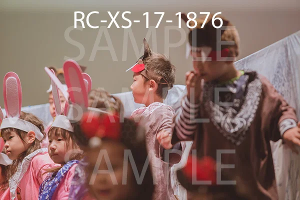 RC-XS-17-1876.jpg
