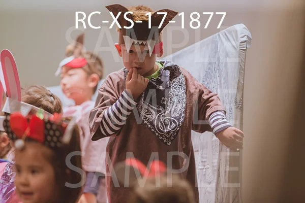 RC-XS-17-1877.jpg