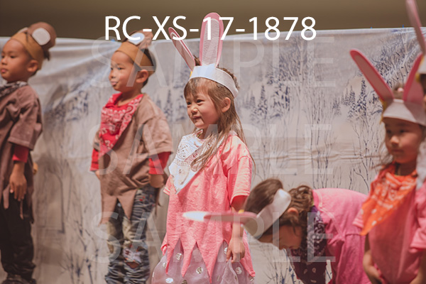 RC-XS-17-1878.jpg