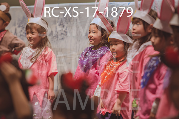 RC-XS-17-1879.jpg