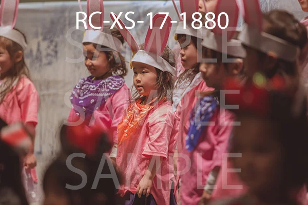 RC-XS-17-1880.jpg