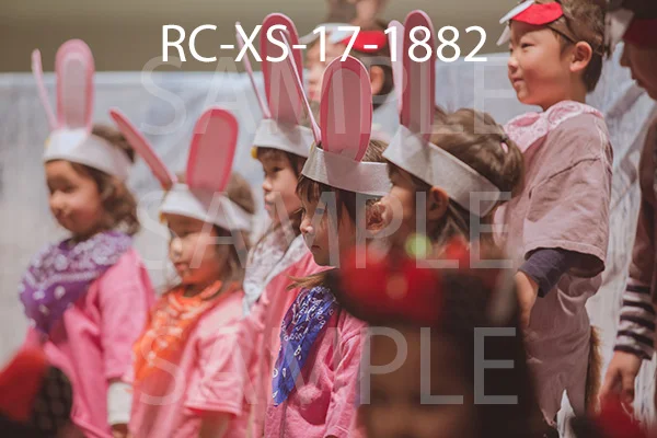 RC-XS-17-1882.jpg