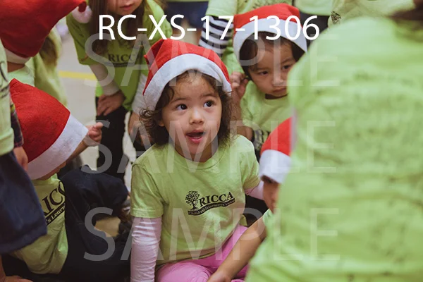RC-XS-17-1306.jpg
