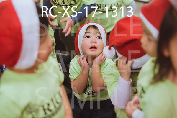 RC-XS-17-1313.jpg