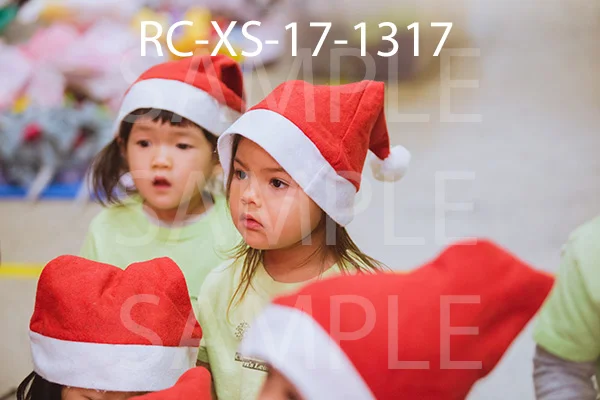 RC-XS-17-1317.jpg