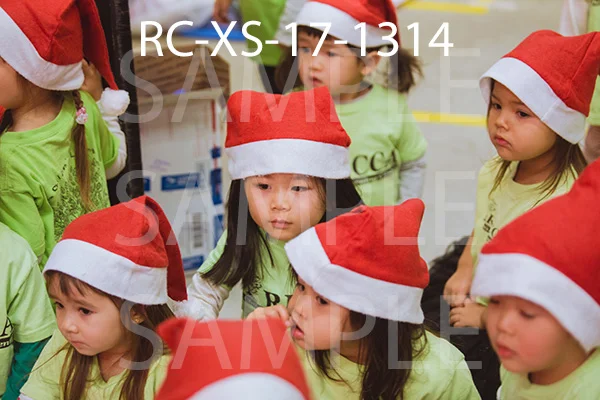 RC-XS-17-1314.jpg