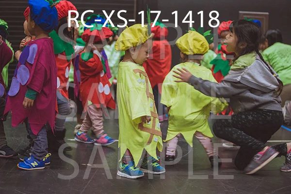 RC-XS-17-1418.jpg