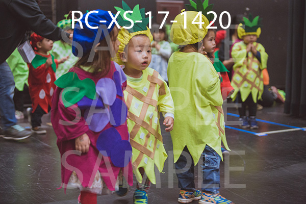 RC-XS-17-1420.jpg