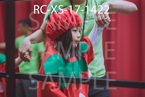 RC-XS-17-1422.jpg