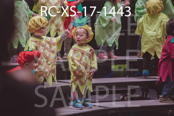 RC-XS-17-1443.jpg