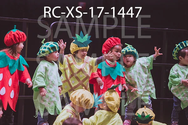 RC-XS-17-1447.jpg