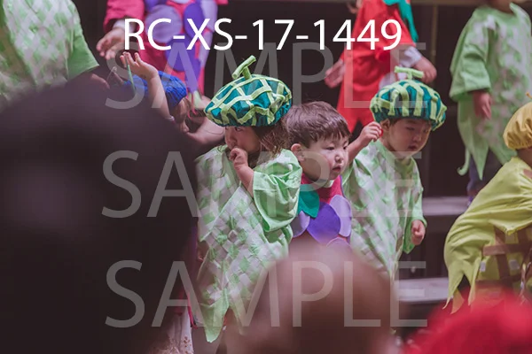 RC-XS-17-1449.jpg