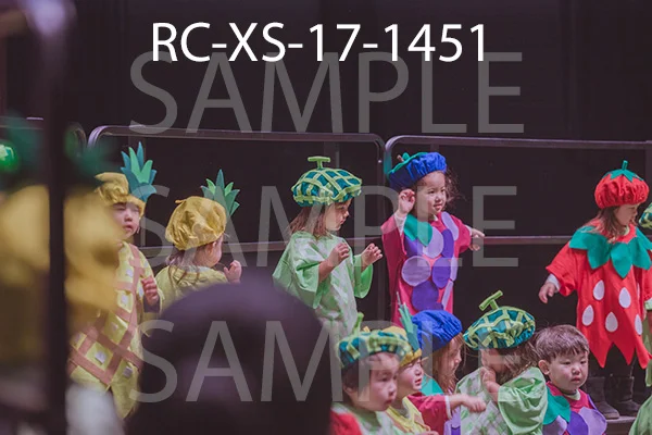 RC-XS-17-1451.jpg
