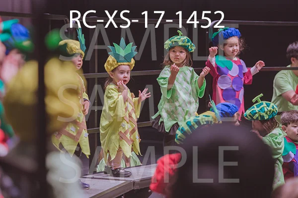 RC-XS-17-1452.jpg